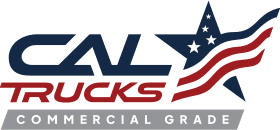Logo featuring star and stripes